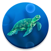 CodyCross Schildkröten Rätsel 3
