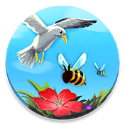 CodyCross Bees and Birds Puzzle 18