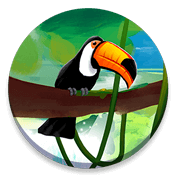 CodyCross Birds Puzzle 9
