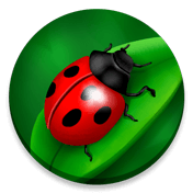 CodyCross Bugs and Insects Puzzle 13